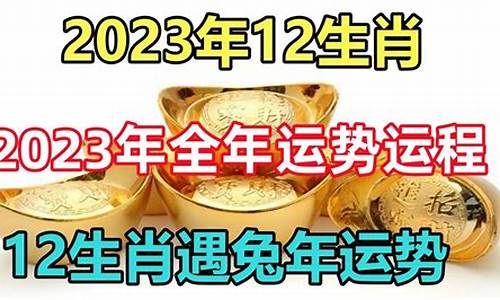 12生肖2023年138期澳门出什么特马(澳门去年13期开什么)