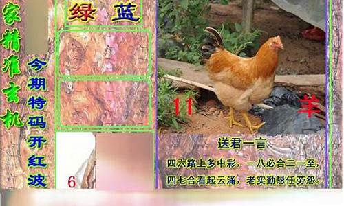 澳门精准正版资料免费(澳门精准正版资料免费公开何)