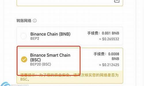 bsc网络钱包(BSC是什么网络)