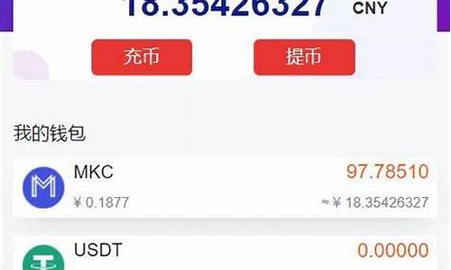 token钱包项目开发(token钱包官网)