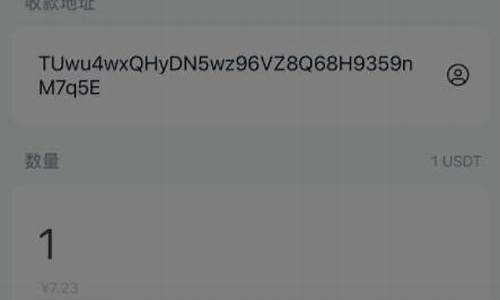 usdt钱包余额查询(怎么查询usdt余额)